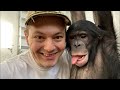 Прямой эфир 21 Апреля | Дан Запашный и bonobo Боня