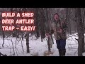 Building a shed deer antler trap Building a shed deer antler trap