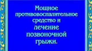 Орис. Мощное противовоспалительное средство. Лечение позвоночной грыжи