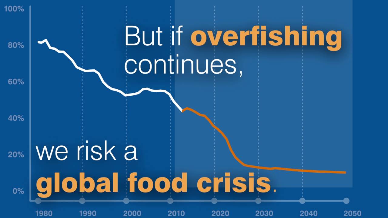 Overfishing Graphs Charts