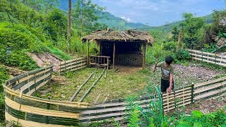 Orphan Boy  Making a Fence to Protect a Farm with Bamboo, Living Alone as an Orphan