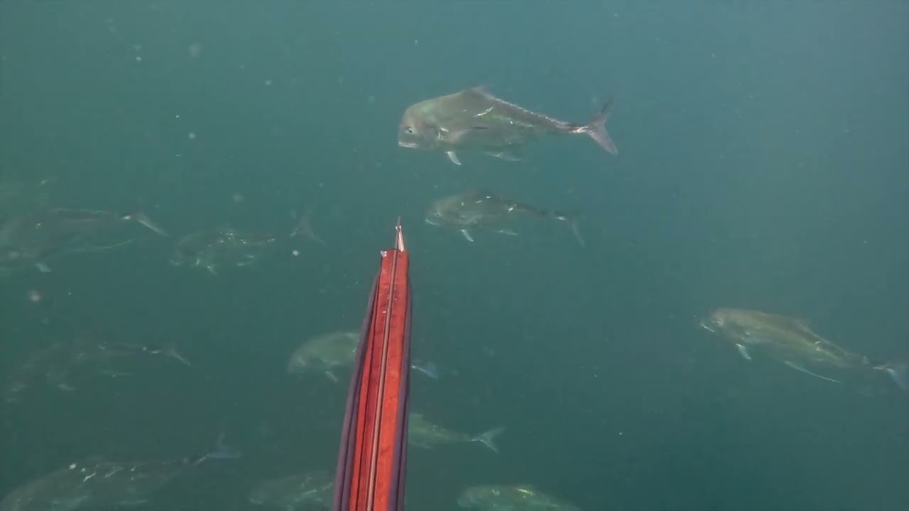 Spearfishing Frying Pan Tower