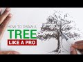 How to draw a realistic tree for beginners