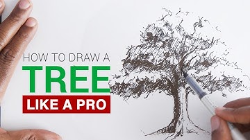 How to draw a realistic tree for beginners