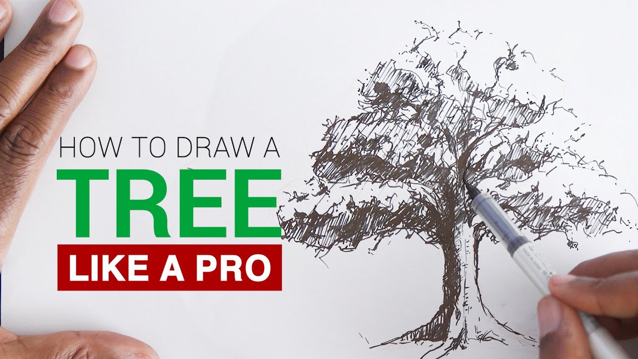 5 Practical Tips for Drawing Realistic Trees A StepbyStep Guide