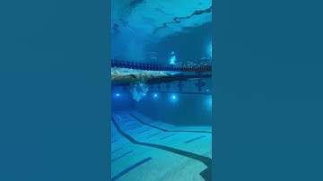 Thumbnail of Sprint Freestyle Slow-Mo
