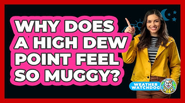 Why Does A High Dew Point Feel So Muggy? - Weather Watchdog