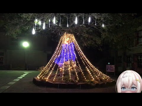 【離島イルミネーション】ツインドラゴン岩【種子島④】