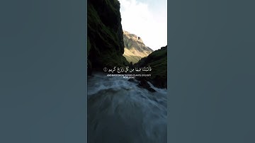 أكتب شيء تؤجر عليه 🤍 #تلاوة_خاشعة #اجر_لي_ولك #اكسبلور