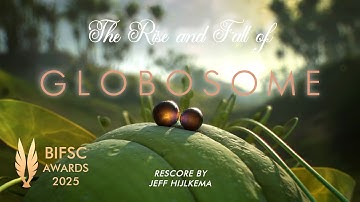 The Rise and Fall of Globosome  // my entry for the BIFSC 2025