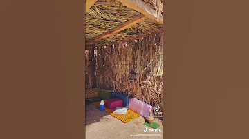 جيت المكان اللي بوسطه تربيت 
