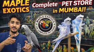 MAPLE EXOTIC MORE THAN 1000 + BIRDS #navimumbai #birdlovers 