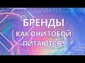 Подключки паразиты. Бренды! Как они тобой питаются?