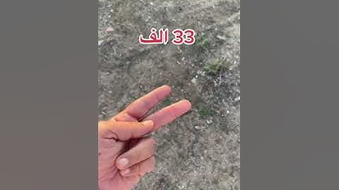 أغلبنا قد لا يعلم معنى كلمة ( الرقيم ) في سورة الكهف 😱