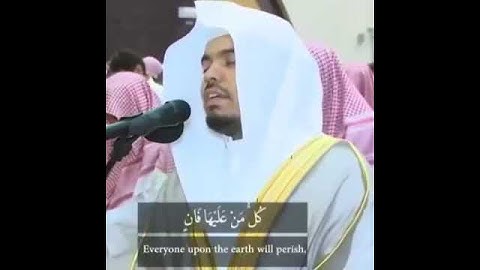 حالات واتس اب قران || حالات واتس قرأن || تلاوة خاشعة || د. الشيخ ياسر الدوسري💙 اية قرانية قصيره🎧❤️