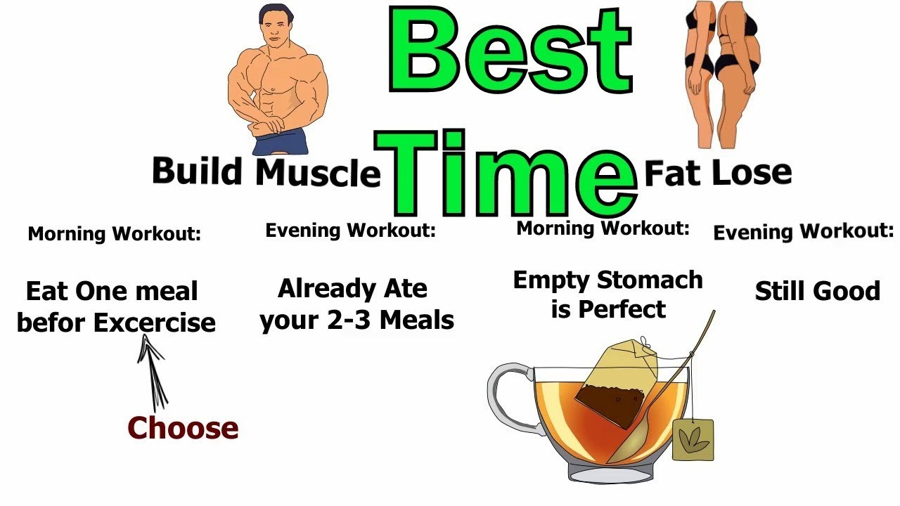 MORNING or EVENING Workout!!! Which is Best Time to Exercise? - YouTube