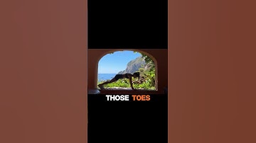 Push Past Your Limits with Plank Series #substack #shorts