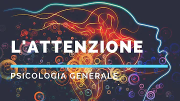 Quali funzioni ha l'attenzione?