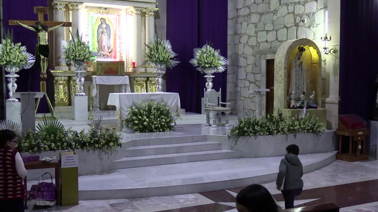 Santa Misa 11 de febrero 2024 YouTube