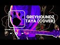 Greyhoundz  taya live from tower radio sessions  guitar cover