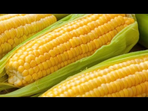 Видео: Ястия с царевица