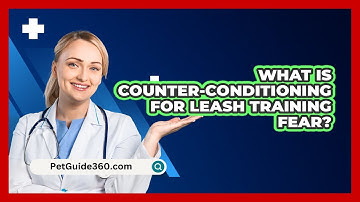 What Is Counter-conditioning For Leash Training Fear? - PetGuide360.com