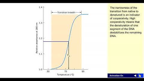 DNA melting curve