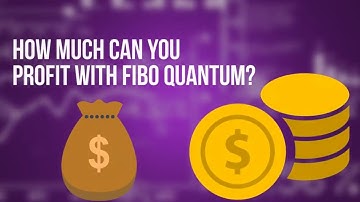 Fibo Quantum Trading Indicator Review - REAL USER