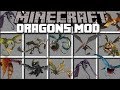 Minecraft DRAGON MOD / FIND OUT HOW TO TRAIN YOUR DRAGON ON BERK!! Minecraft