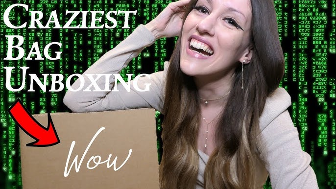 Exciting Louis Vuitton Unboxing!!!! – Style With Ell