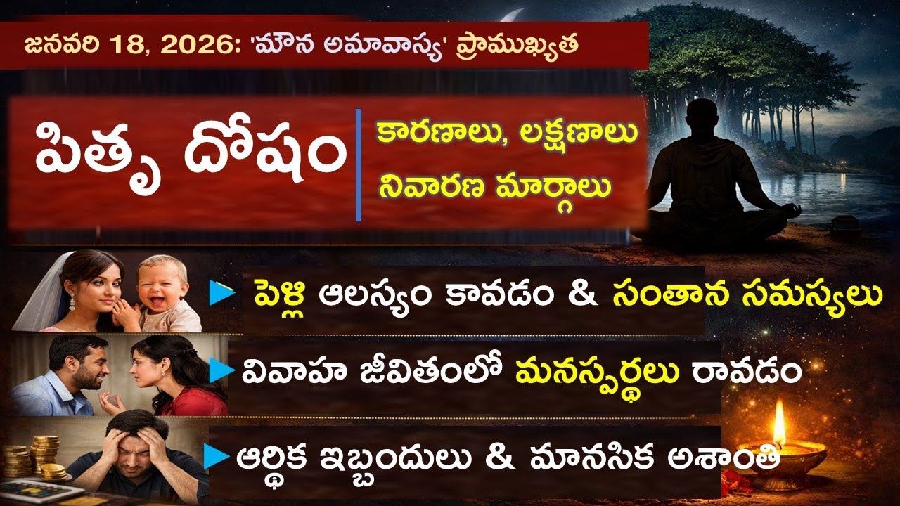 పితృ దోషం: పెళ్లి ఆలస్యం కావడం, సంతాన సమస్యలు మరియు వివాహ జీవితంలో మనస్పర్థలు రావడం.