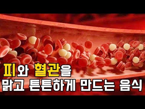 피를만드는음식 - 찬비의 알짜노트