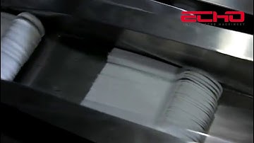 ECHO machinery Horizontal Flow Wrapping Disposable tableware Packing Machine