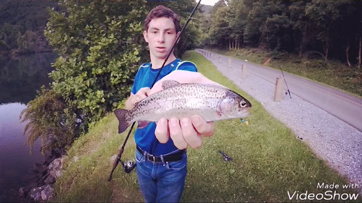 Tennessee Trout waters #2