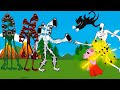 Siren head team vs piggy scp096 cartoon cat devil  more  roblox piggy animation  gv studio