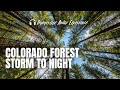 COLORADO FOREST STORM TO NIGHT | Wander the afternoon woods as thunder rolls up behind you.