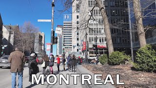 Montreal Walk from McGill to Square Saint-Louis - March 2024