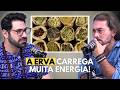 TUDO TEM ENERGIA: APRENDA A USAR A SEU FAVOR