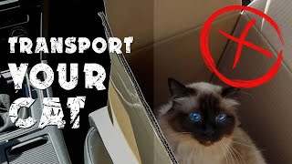 Transport your cat | course by Cat's Diary 2,633 views 4 years ago 5 minutes, 58 seconds