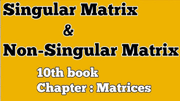 Singular & Non-singular Matrix | Matrices | 10th Math | Math Problems.