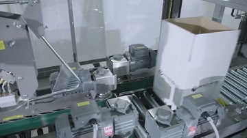 Endoline 407 Fully Automatic Random Glue Case Sealer | Macfarlane Packaging