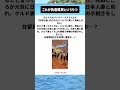 #ニュース #政治 #高市早苗 #自民党 #税金 #移民
