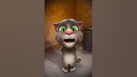 Talking Tom Singing The Nelvana And Nickelodeon Logo