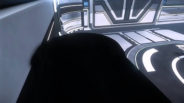 StarCitizen Business Hangar Glitch/Bug