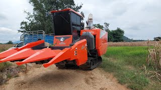 รถเกี่ยวข้าวโพด คูโบต้า DC 93 G เปิดฤดูกาล 2568