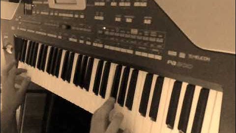 Karim Korg pa-800 set Sha3aby style