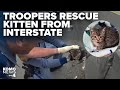 Washington State Patrol troopers rescue kitten from middle of interstate