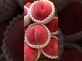 山形の桃🍑まなみ #桃 #果物 #フルーツ #shortvideo #shorts #short #もも#peach