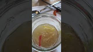 STEAM at Home: Dancing Worms