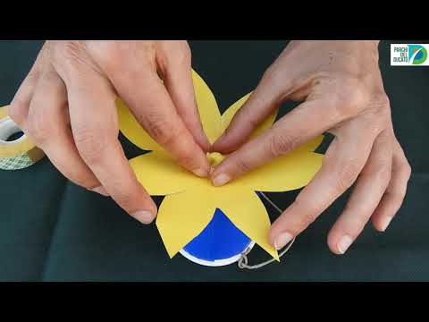 Video: Le farfalle useranno una casa delle farfalle?